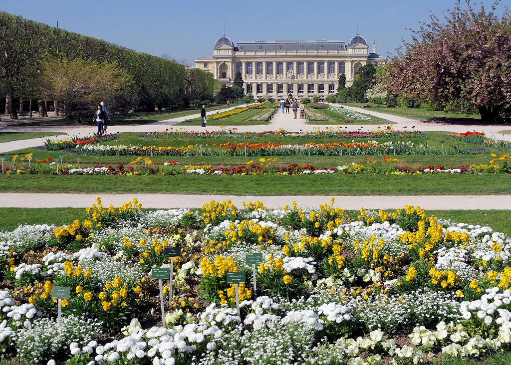 Les parterres fleuris du Jardin des Plantes au printemps, devant la Grande Galerie de l'Évolution